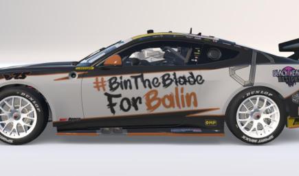 Infinity Motorsport Bin the Blade for Balin Gen 3 Mustang