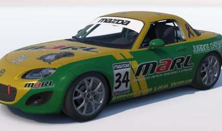 Missed Apex Racing League (MARL) - Official Team Paint
