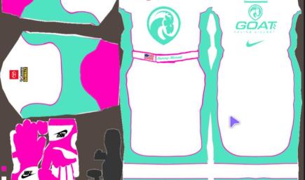 GOATRacingDiecast Teal/Pink League CUP