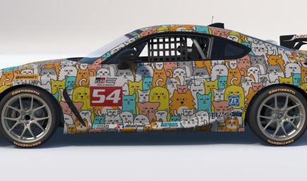 Suspicious Cats Racing