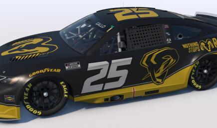 RAMry Next Gen Sim Stamped