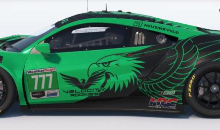 ACURA NSX GT3 EVO VELOCITY ROOKIES (READ DESCRIPTION)