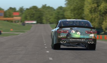 Lizard stamped number Camaro