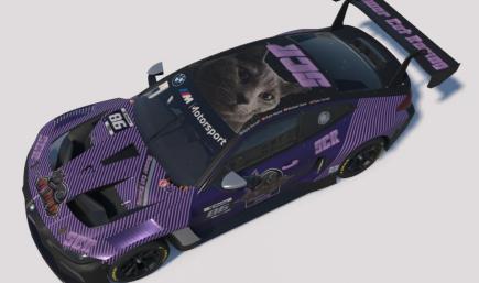 SCR Endurance Team BMW M4 GT3 Evo #86