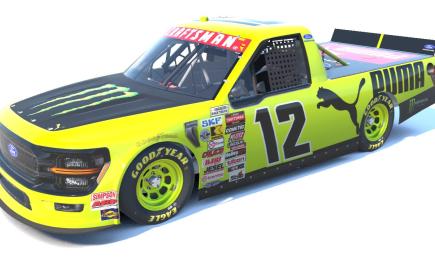 Monster Energy PUMA with Black Bed 