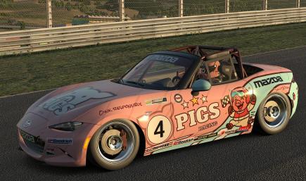 PIGS MX5