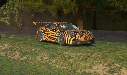 Party Animals Tiger