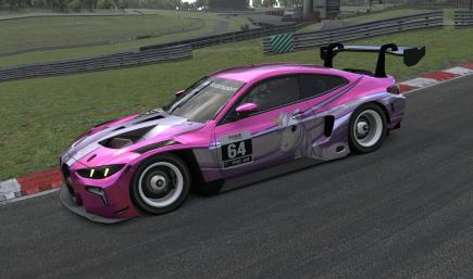 BMW GT3 - Sparklefarts Replica