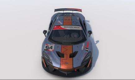 Gulf Shadow