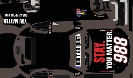 Ford Mustang Class B 2019 (36)