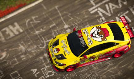 Buc-ees Smell My Beaver Paint for Nords 24h