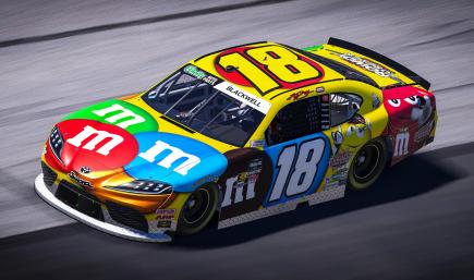 #18 Kyle Busch 2009 M&Ms Cust Num