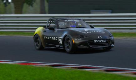 Fanatec Livery  2 - Commissioned