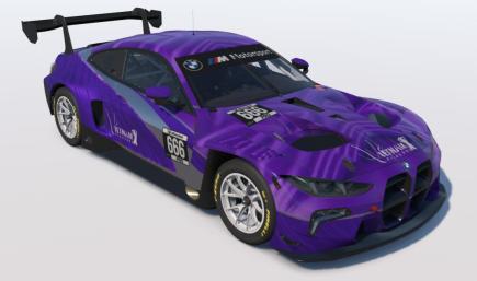PDV Purple Warrior