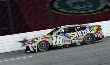 Kyle Busch 2026 Skittles Zombie Cup Camry (No Numbers)