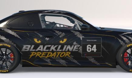 BMW M2 Racing G87 Blackline Predator Livery