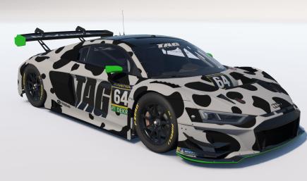 Cowdi R8 LMS EVO II GT3