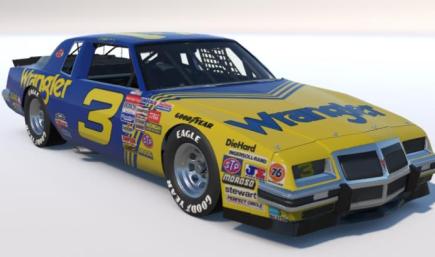 D. Earnhardt 1981 (no number)