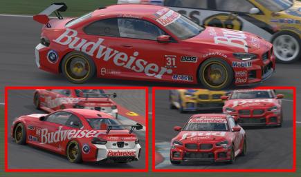 BMW M2 F87 Budwieser