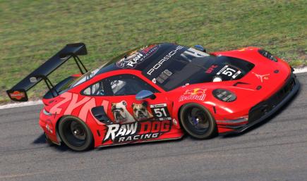 RDR GT3 Porsche Custom Number