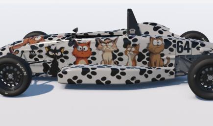 Ray FF1600 Grumpy Cats
