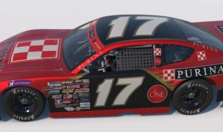 Purina: Late Model Stock