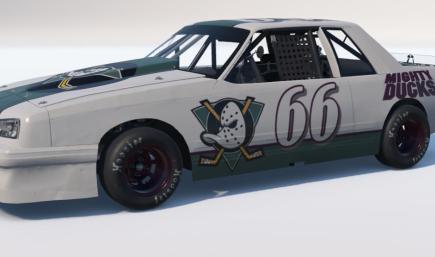 Mighty Ducks Mini Stock
