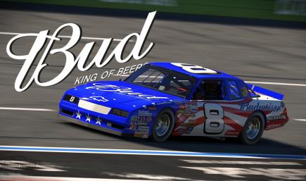 Dale Earnhardt JR 2007 Stars & Stripes American Flag Budweiser CUSTOM #