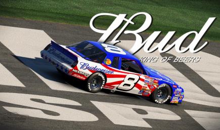 Dale Earnhardt JR 2007 Stars & Stripes American Flag Budweiser Sim Stamped