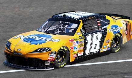 Kyle Busch 2008 Pedigree (Sim #)