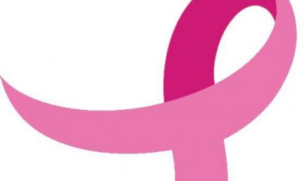 Chevrolet Silverado Truck 2015 pomeroy susan g