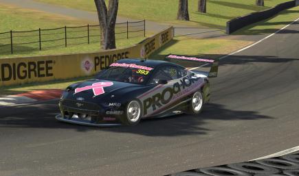 ProChoice Racing Breast Cancer paint 