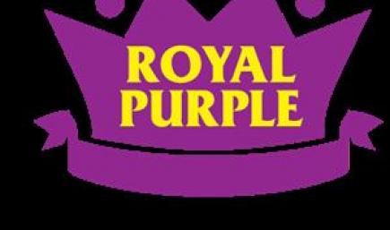 Ford Thunderbird 1987 royal purple