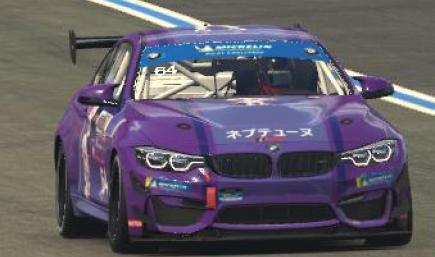 Hyperdimension Neptunia Livery - Neptune (Custom Number Ver.)