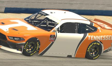 フォードマスタング Flower Power STOCK RACING CAR mqdefault.jpg