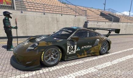 2022 Lead Paw Racing 24 Hours of Dayona 911 GT3R (Standard Numbers)