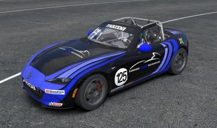 DBR Mx5 Unnamed Paint Scheme