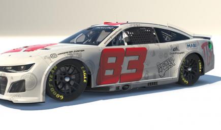 Car #83 SEL-Las vegas