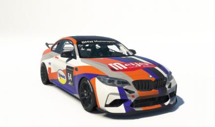 Meijer Supermarkets BMW