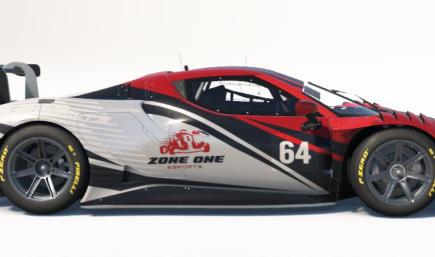 Zone One Esports Team Paint