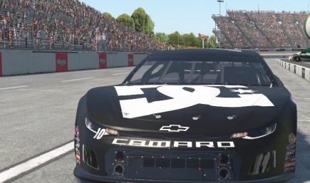 custom number 48 DC shoes LMS