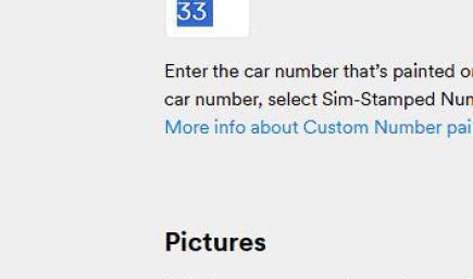 Elegant Sporty Paint