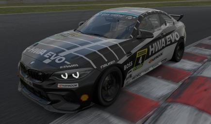 HWA EVO - Nurburgring 24 Hours