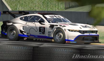 Ford Mustang GT3 213 Parts