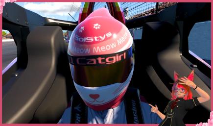 Sol Stys Cats Helmet