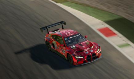 BMW M4 GT3 - Barbed wire Flower