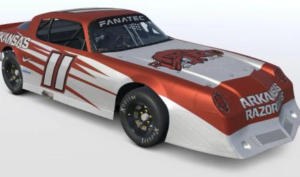 Arkansas Razorbacks - Panther C1