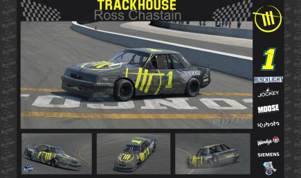 Ross Chastain Mini Stock