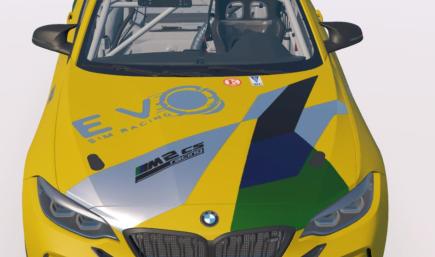 Senna Brazil Colours BMW 2