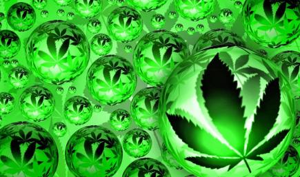 weed again